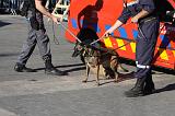 CAPTURE DU CHIEN 059